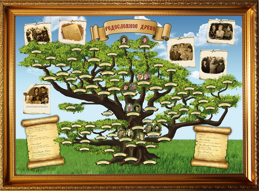 Как сделать генеалогическое древо фото