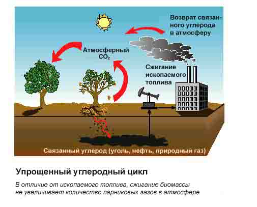  РФ к 2030 году сможет перейти на 100% возобновляемой энергии... - фото 3