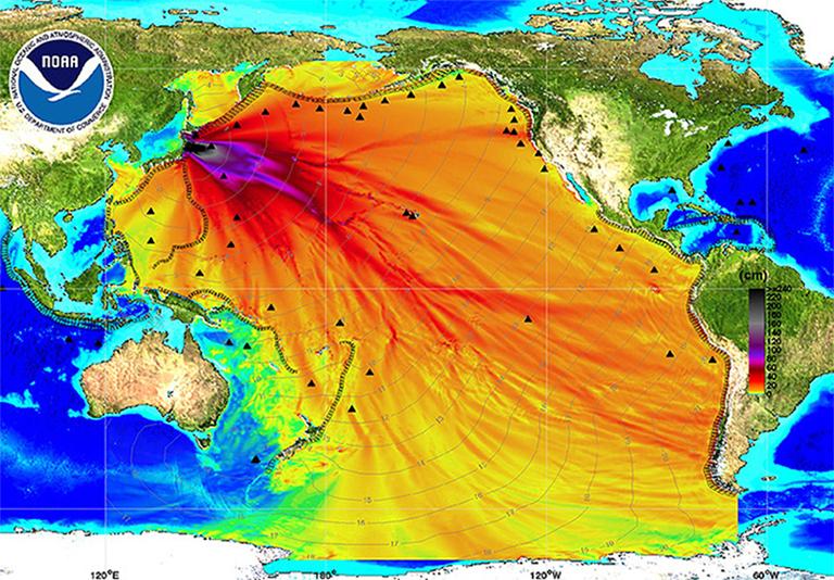 Фукусима отравила весь Тихий океан. Но вокруг катастрофы царит странный заговор молчания 0bb512993616790237a47559ad2