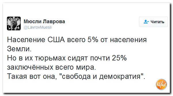11%20%2874%29.jpg