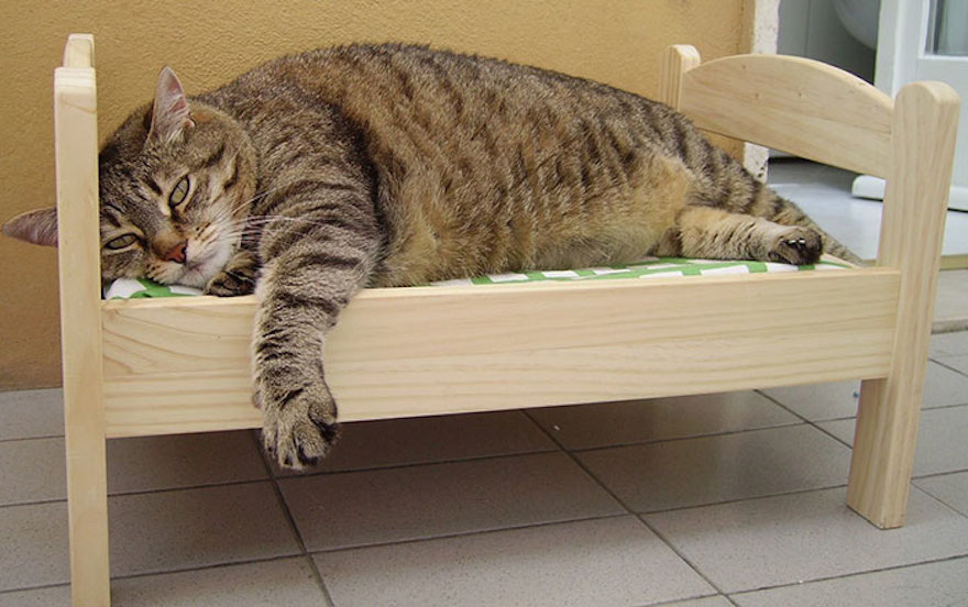 ikea-duktig-bed-hack-cat-bed-7.jpg