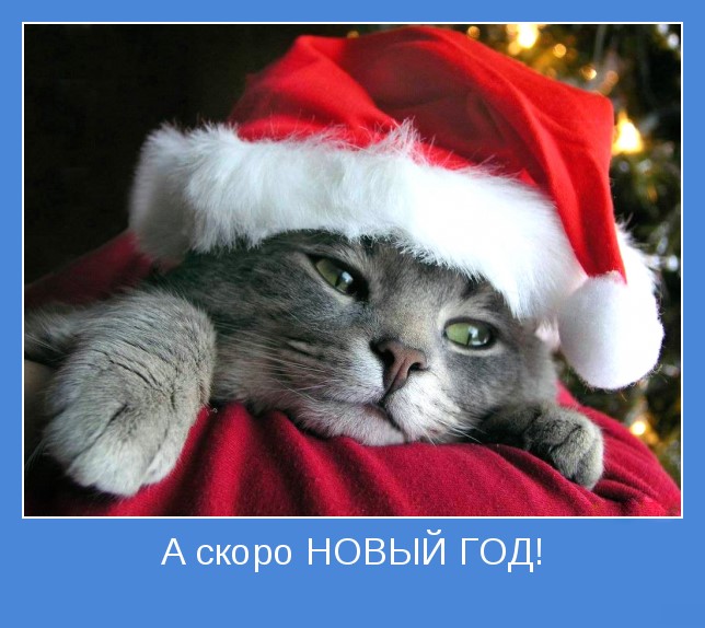 Утро Скоро Новый Год Утро Скоро Новый Год