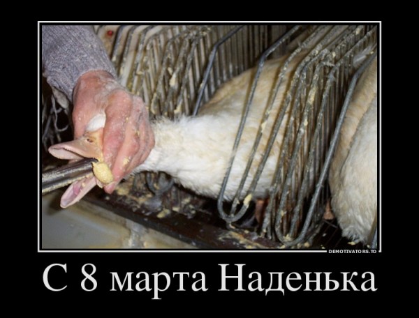 Подарим Надежде Савченко принудительное кормление на 8 марта! 1%20%28126%29