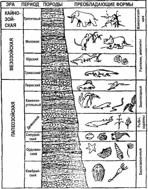 Тафономия И Геологическая Летопись.