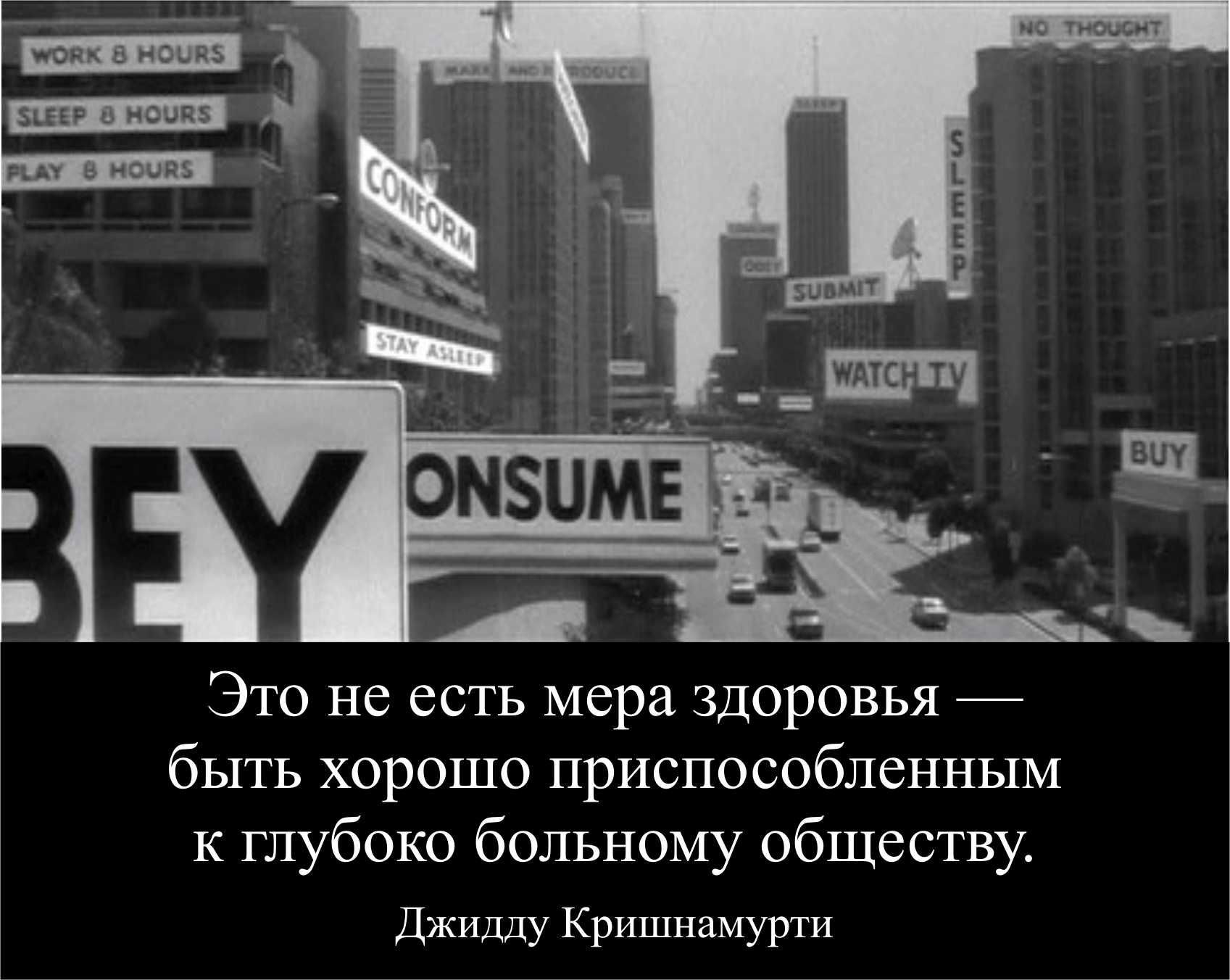 pictures Как сделать медовуху из старого меда: рецепт приготовления в домашних условиях изображения pictures Как сделать медовуху из старого меда: рецепт приготовления в домашних условиях изображения