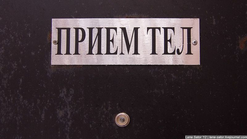 Тупость — основная причина смерти, обгоняющая старость Тупость — основная причина смерти, обгоняющая старость