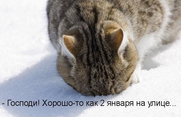 Со 2 Января Нового Года