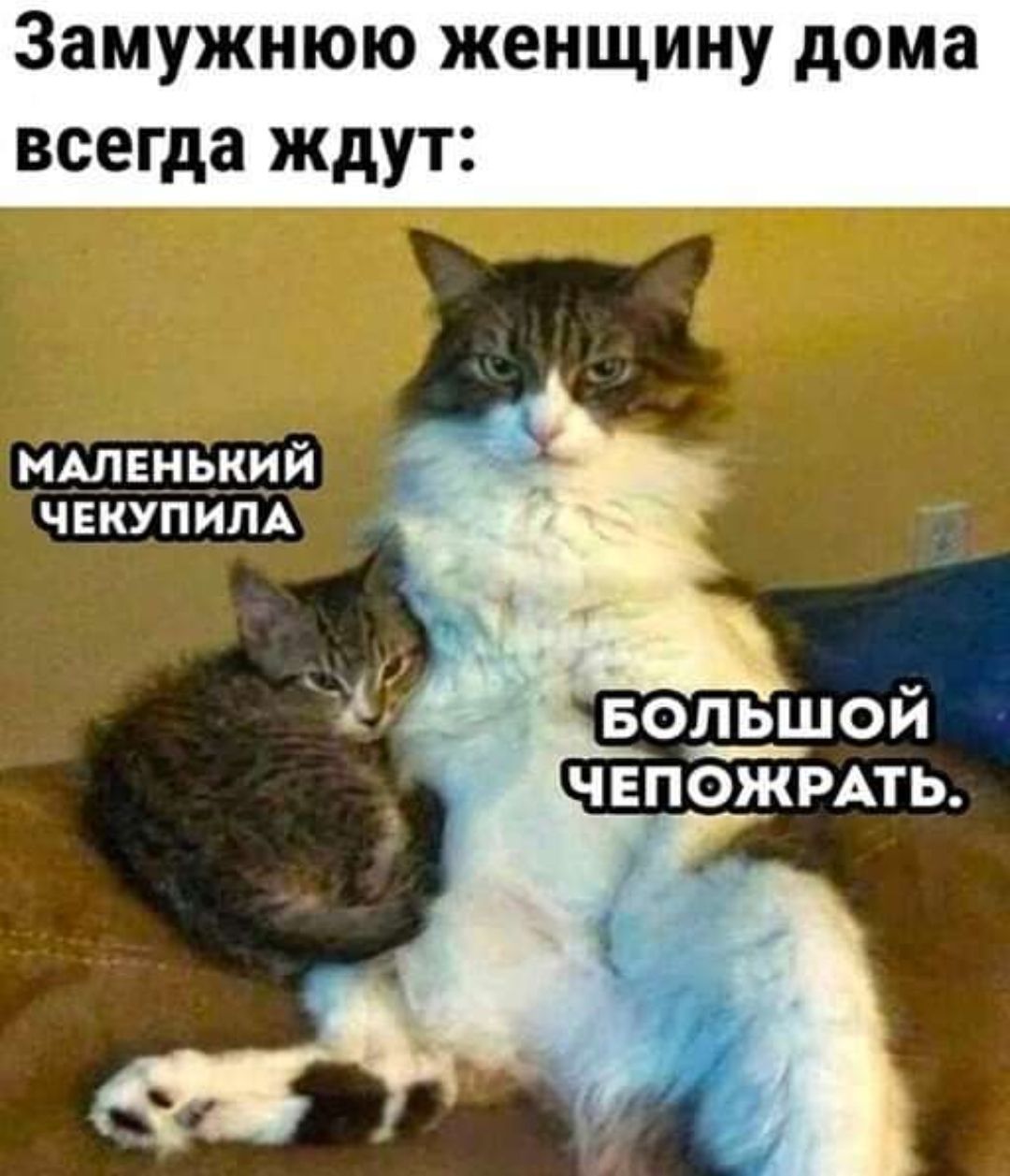 Ждем домой картинки прикольные