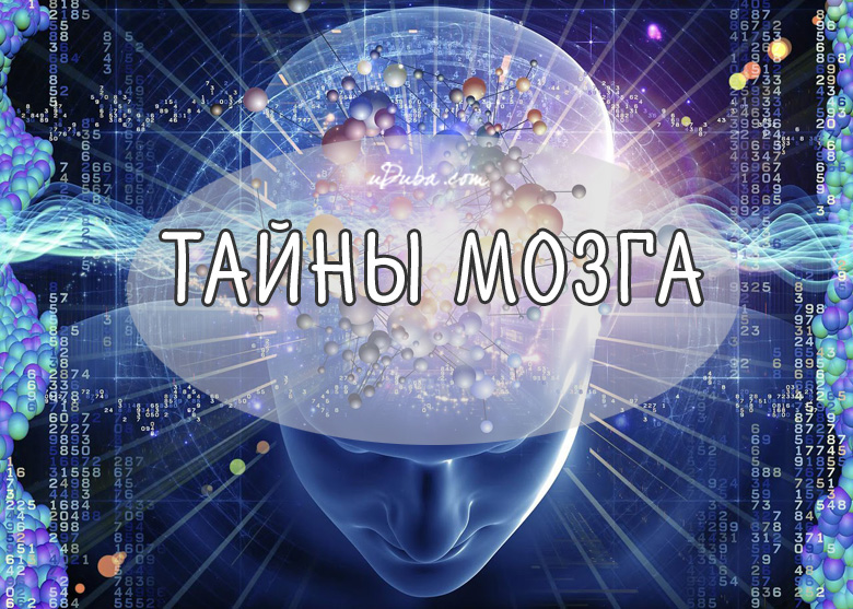 Деградация интеллекта