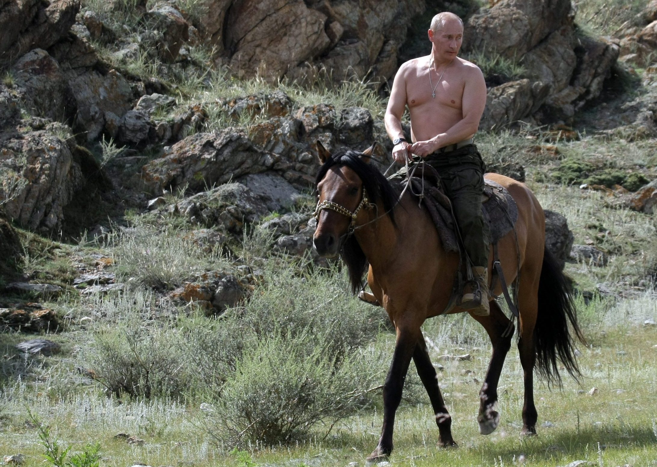 Обои на телефон Путин и Трамп на коне