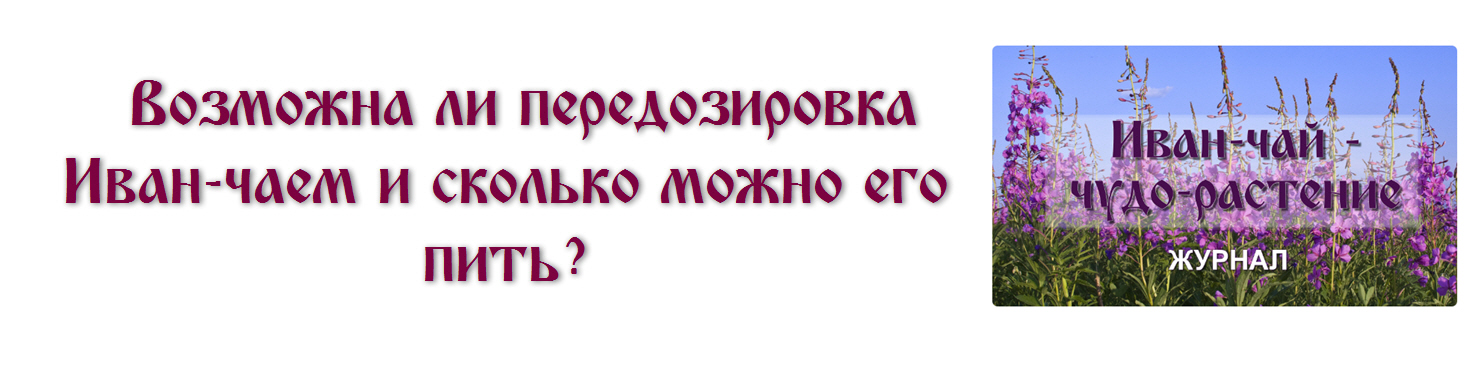 Сколько ивана. Иван чай можно пить. Сколько можно пить Иван чай. Иван-чай как долго можно принимать. Иван чай польза и вред сколько можно пить в день.