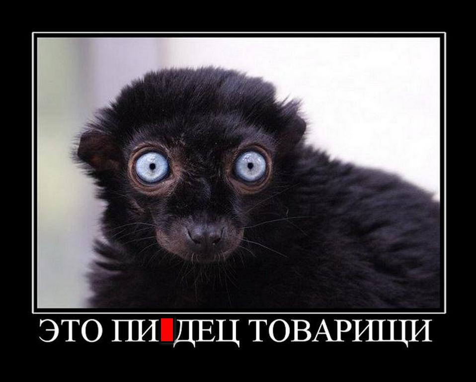 Смешные картинки с матами ржачные