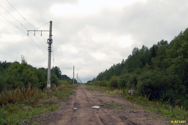 Веребьинский мост