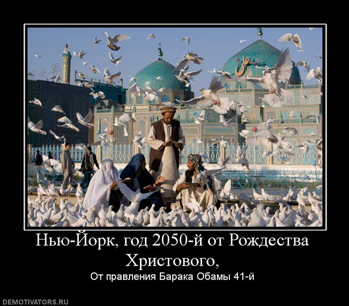 2050 год