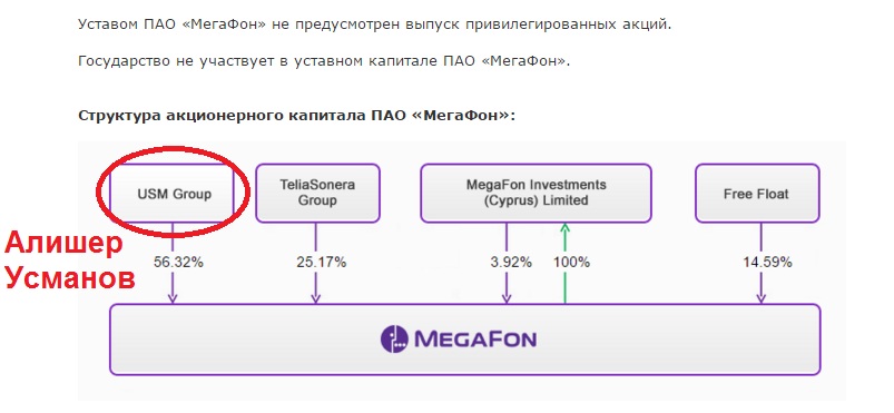 Организационная структура мегафона схема