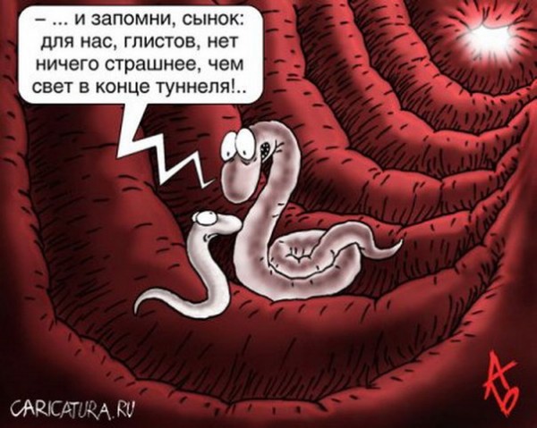 %D1%81%D0%B2%D0%B5%D1%82%20%D0%B2%20%D0%