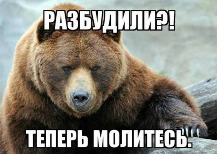 Не будите русского медведя стих текст полностью. Разбудили теперь молитесь. Разбудили медведя теперь молитесь. Медведь проснулся. Разбудили русского медведя.