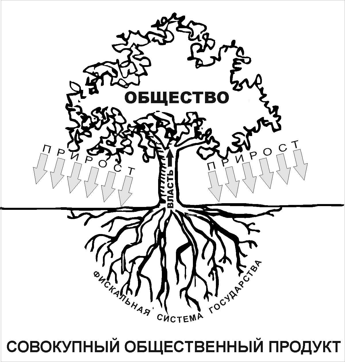 Элемент системы дерево. Части дерева схема для детей. Дерево с корнями и кроной. Мощное дерево с корнями стволом и кроной. Дерево с корнями схема.