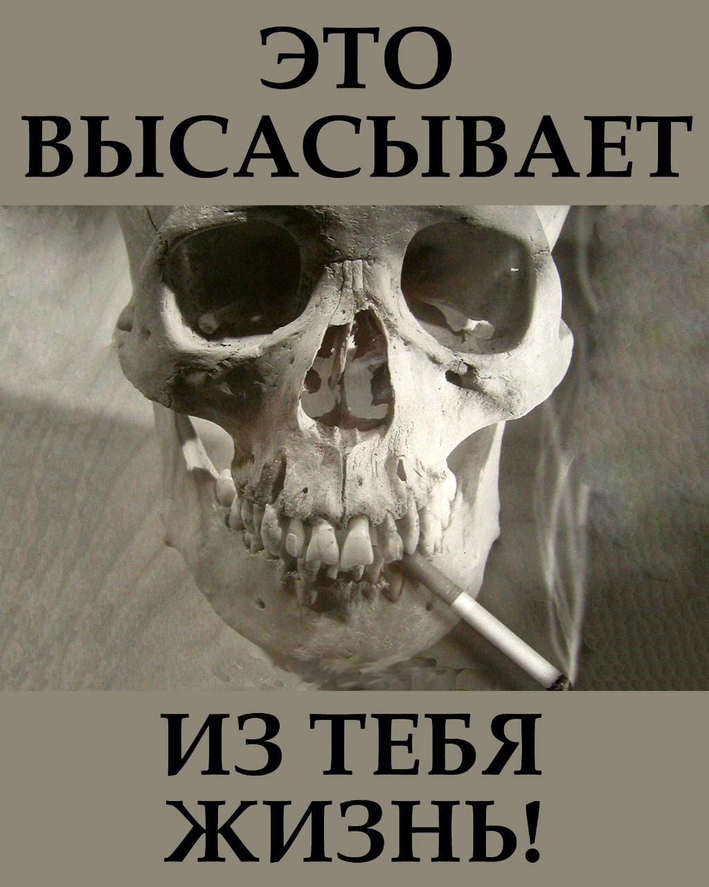 %D0%BA%D1%83%D1%80%D0%B5%D0%BD%D0%B8%D0%B5-%D0%B2%D1%80%D0%B5%D0%B4%D0%B8%D1%82-%D0%B7%D0%B4%D0%BE%D1%80%D0%BE%D0%B2%D1%8C%D1%8E.jpg