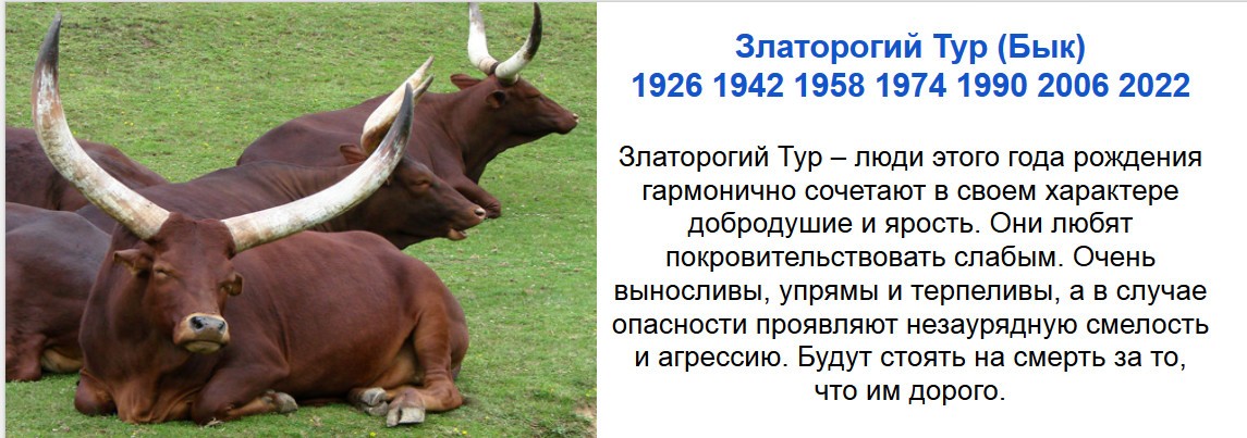 190 год какого животного