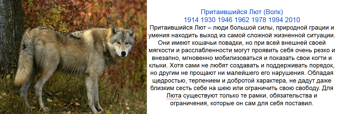Время лисы и время волка