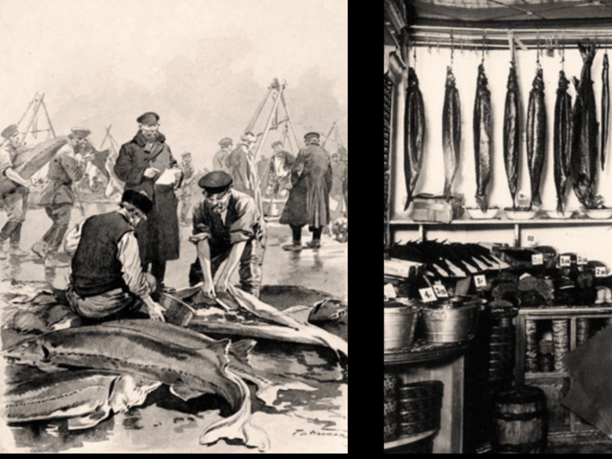 Астраханский рыбный промысел, Астрахань 19 век. Рыбный промысел 17 века Россия. Рыбный промысел 19 век. Астрахань рыбный промысел 19 век. Преступный промысел