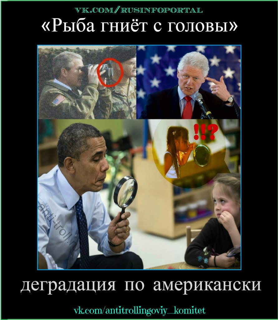 Рыба Гниет С Головы Фото