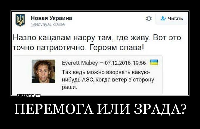 Слова перемога с украинского на русский. Что такое зрада и перемога с украинского. Хохол перемога. Зрада и перемога перевод. Зрада на украинском.