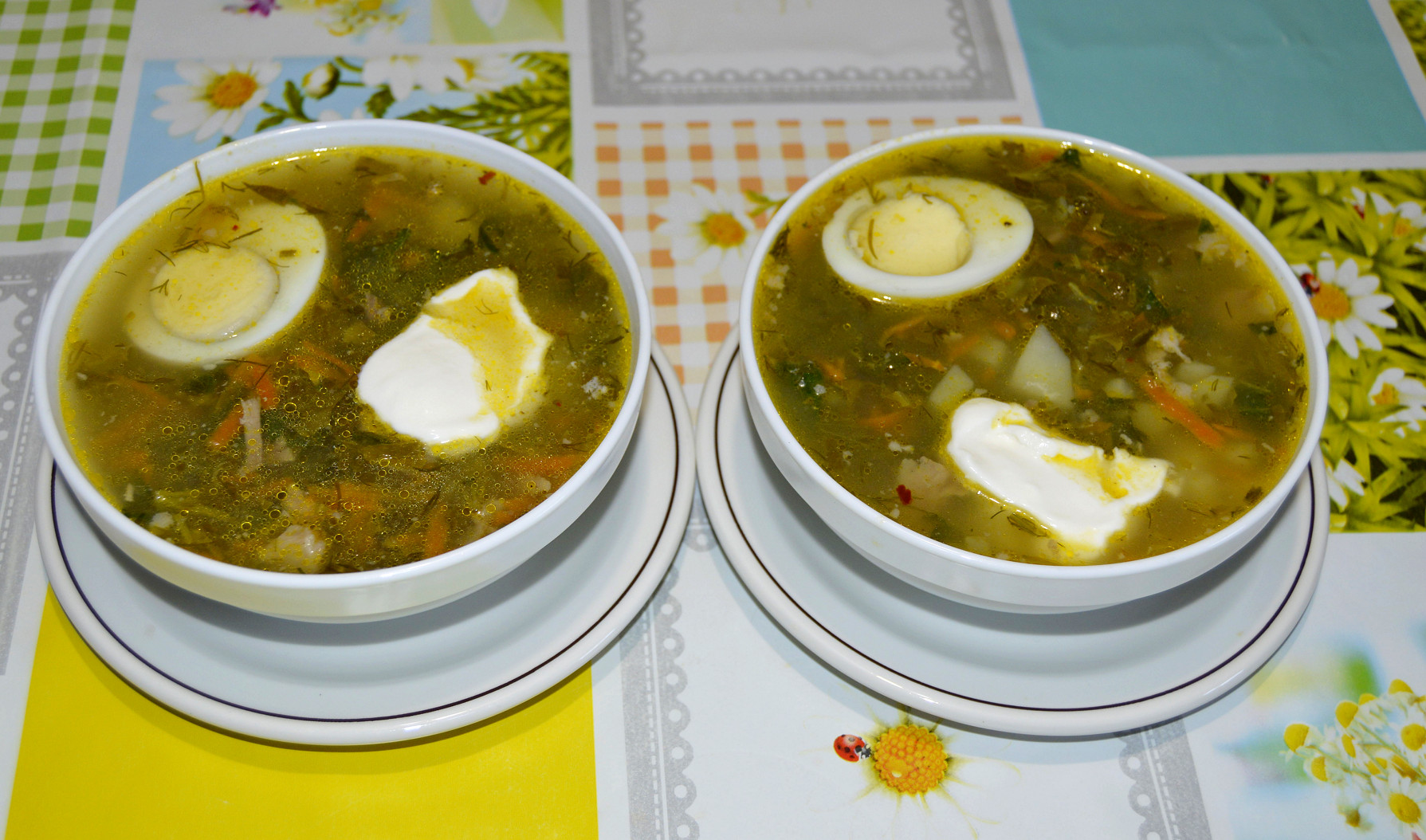 Суп с крапивой и щавелем на мясном бульоне рецепт с фото