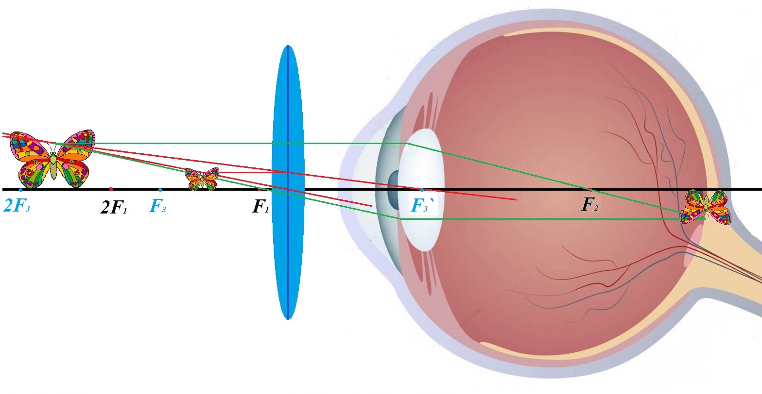 Восприятие глаза человека. Глаз и зрение. Очки строение. Глаз и зрение оптика. Линзы для близорукости двояковыпуклые.