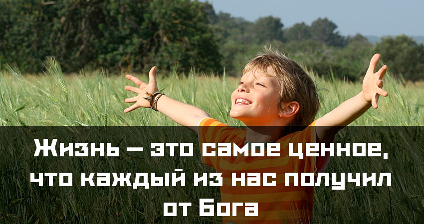 Проект жить что это