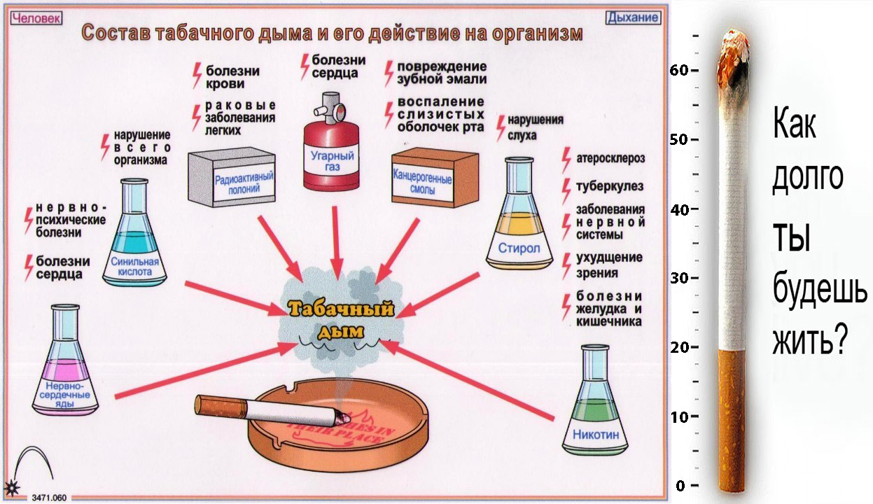 ПОЧЕМУ ЖЕ ВЫ УПОРНО ПРОДОЛЖАЕТЕ КУРИТЬ? 