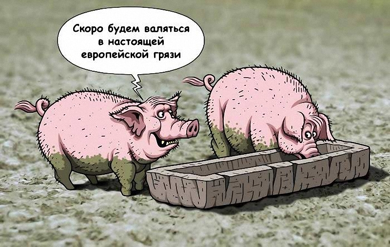 Как россия должна иметь дело с синдромом пилбан pbs
