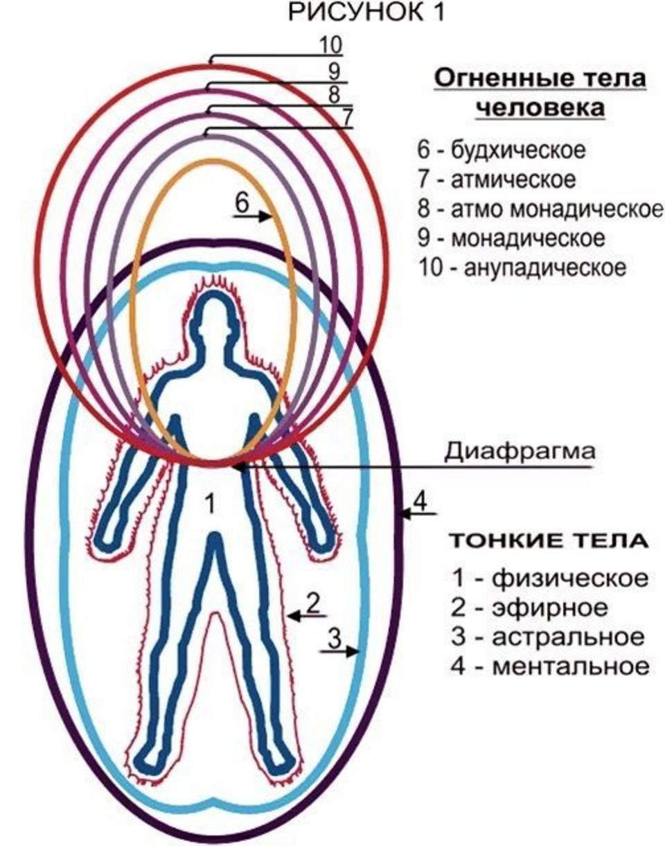 Ментальный уровень это простыми. Структура тонких тел человека. Тела человека астральное ментальное. Оболочки тела человека энергетические. Схема тонких тел человека и их функции.