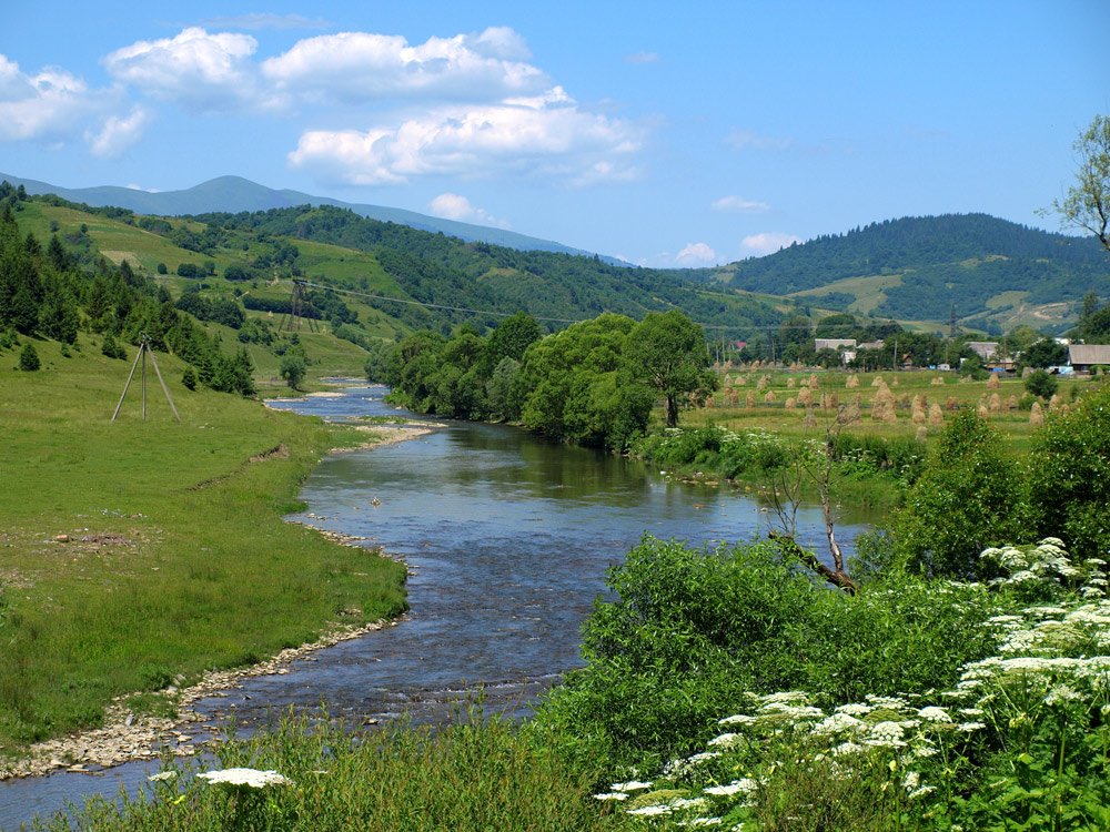 Река тиса украина