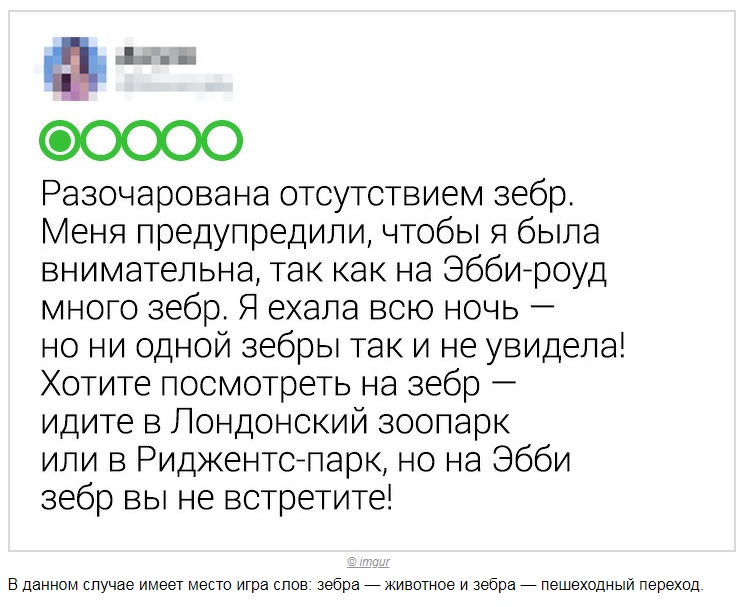 Смешные отзывы. Смешные отзывы об отелях. Самые смешные отзывы про отель. Смешной отзыв об отеле. Прикольный отзыв о гостинице.