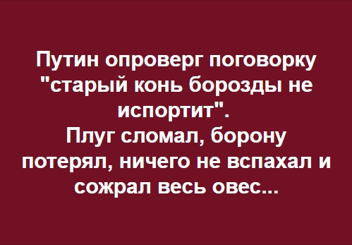 Старый конь борозды не портит. Поговорка старый конь борозды. Пословица старый конь борозды не портит. Старый конь борозды не испортит продолжение пословицы. Поговорка про старого коня и борозду.