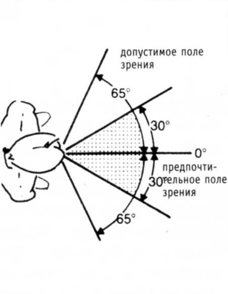 Центральное поле зрения. Периметрия углы полей зрения. Нормы поля зрения человека в градусах. Угол периферийного зрения человека. Угол зрения человеческого глаза в градусах.