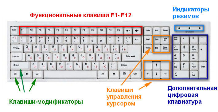 С помощью каких комбинаций можно скопировать. Клавиша f1 клавиатуры рисунок. Комбинации на клавиатуре компьютера. Строение клавиатуры. Выделение на клавиатуре клавиши.