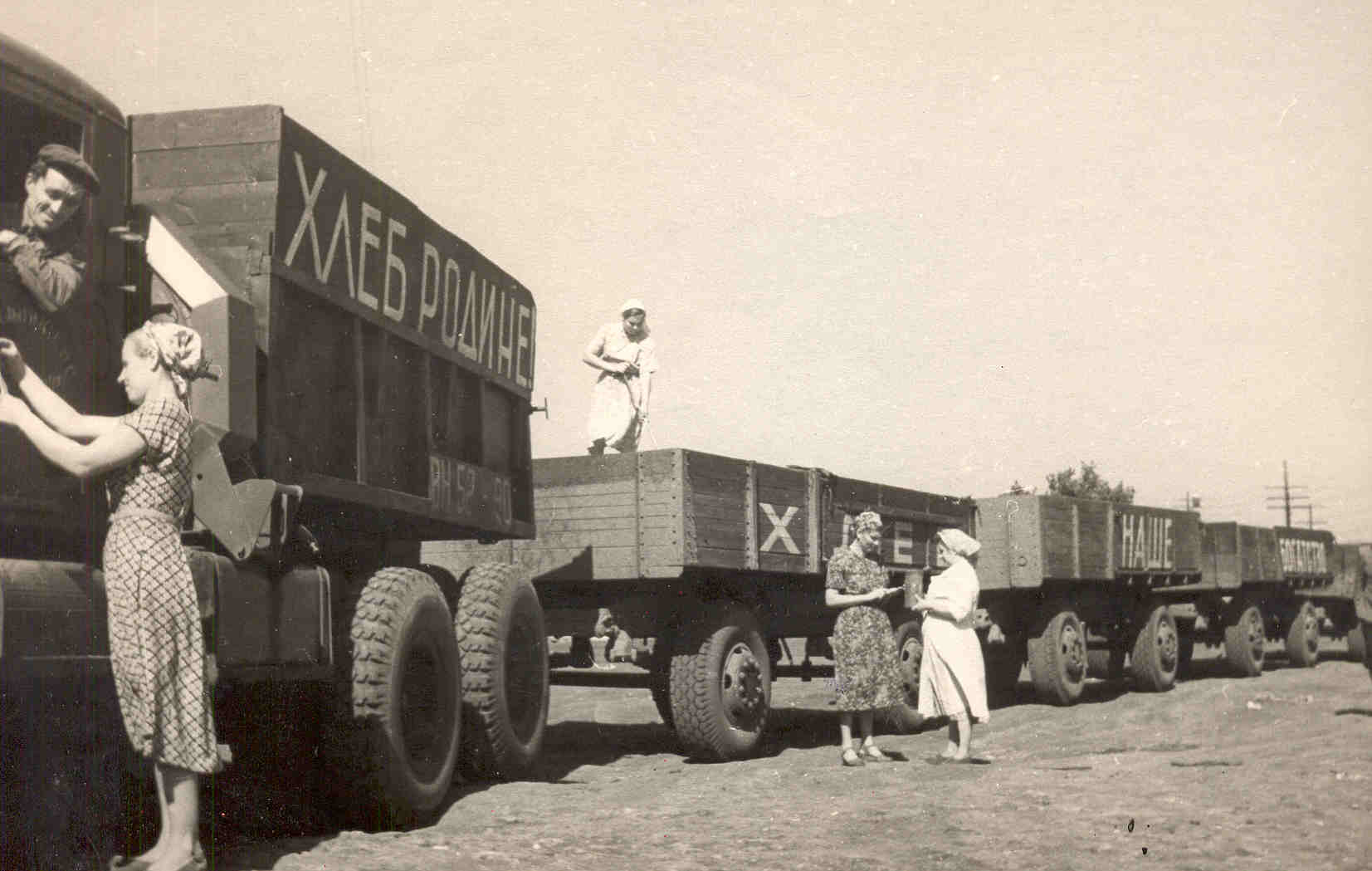 Казахстан целинные земли. Целина 1954. Целина освоение целинных земель СССР. Целина в Казахстане 1954. Освоение целины 1954г.