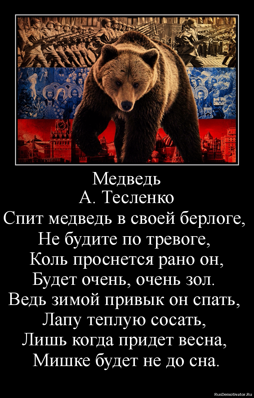 Стихи не будите русского медведя читает михайлов. Не будите русского медведя. Стих про русского медведя. Не злите русского медведя. Не злите русского медведя стих.
