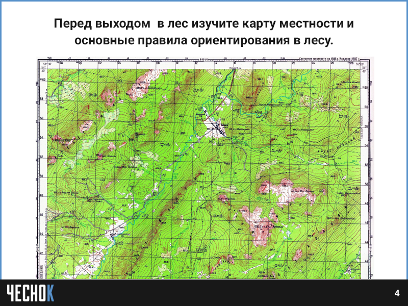 Карта исследователя лесов
