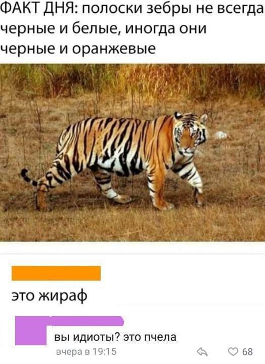 4-27.jpg