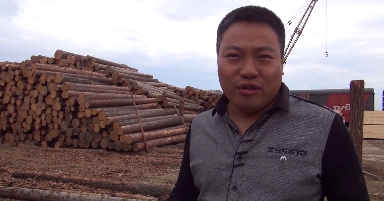 Вырубка лесов в китае