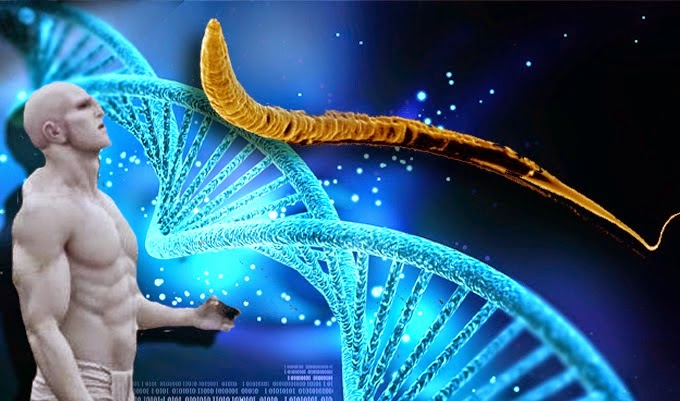 Появились доказательства того , что человеческая ДНК была изменена в глубокой древности. Humans%20Alien_DNA