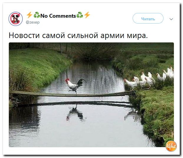 37%20%2814%29.jpg