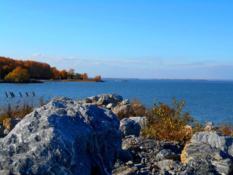 Водохранилище новосибирск фото