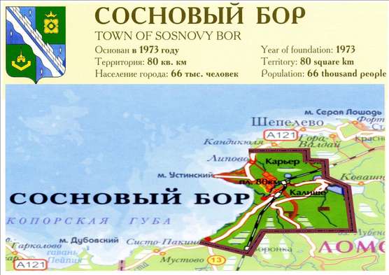 Лаэс сосновый бор карта
