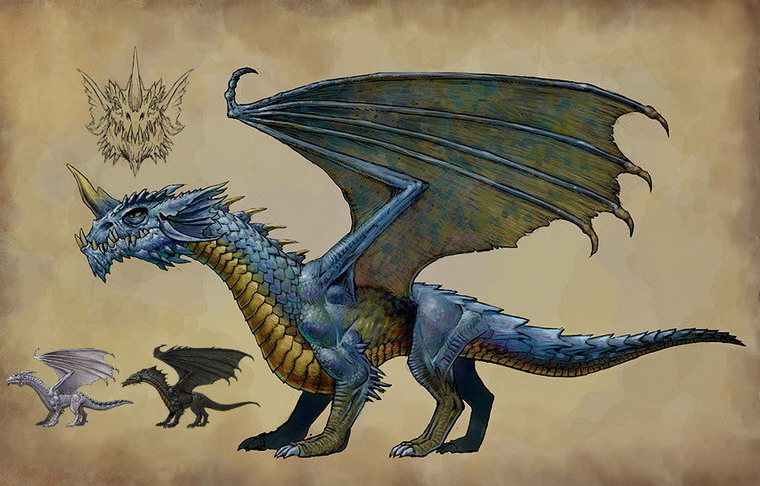 Talaria dragon