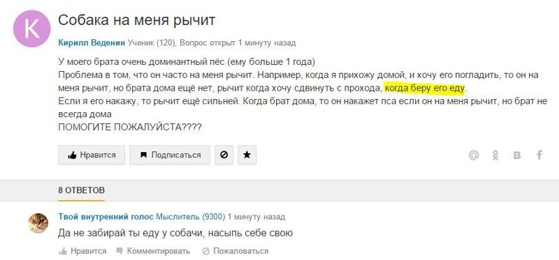 Курьезные вопросы. Смешные вопросы и ответы. Смешные ответы. Смешные вопросы и смешные ответы. Забавные вопросы и ответы.